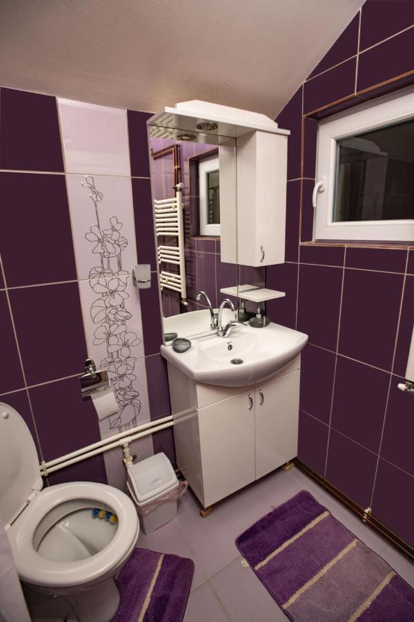 Apartmani Sp Jovanovic Crni Vrh Ngoại thất bức ảnh